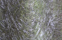 Huncoat fibreglass roof work