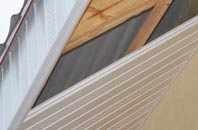 rated Huncoat soffit repair companies